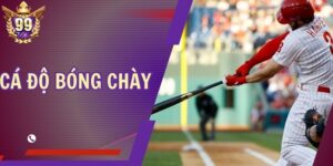 Cá Độ Bóng Chày - Hướng Dẫn Cách Cược Nâng Cao Lợi Nhuận